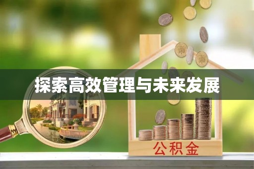 含山探索高效管理与未来发展