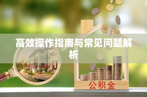 含山高效操作指南与常见问题解析