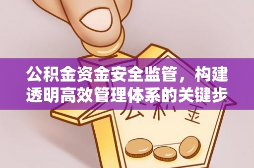 含山公积金资金安全监管，构建透明高效管理体系的关键步骤