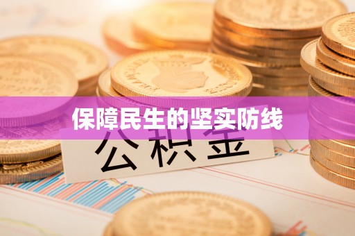 含山保障民生的坚实防线