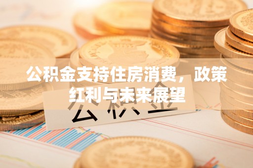 含山公积金支持住房消费，政策红利与未来展望