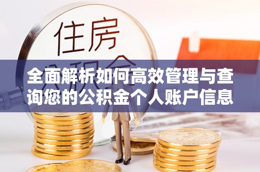 含山全面解析如何高效管理与查询您的公积金个人账户信息