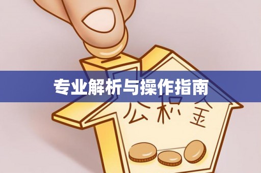 含山专业解析与操作指南