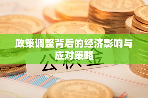 含山政策调整背后的经济影响与应对策略
