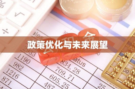 含山政策优化与未来展望