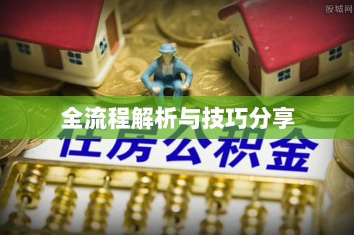 含山全流程解析与技巧分享