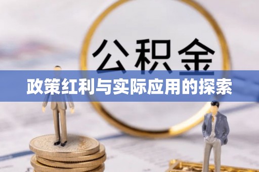 含山政策红利与实际应用的探索