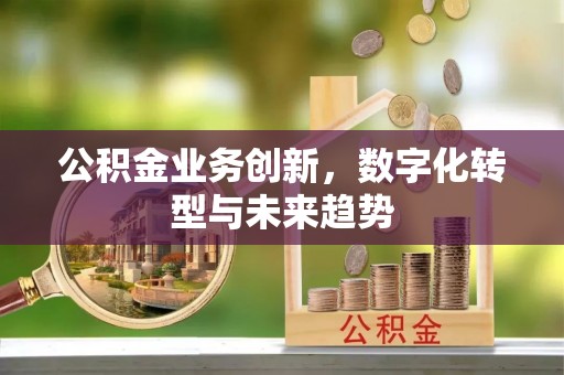 含山公积金业务创新，数字化转型与未来趋势