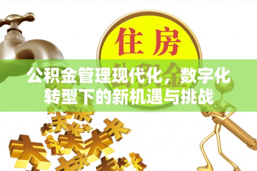 含山公积金管理现代化，数字化转型下的新机遇与挑战