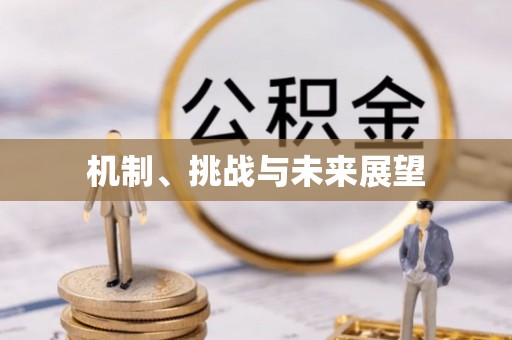 含山机制、挑战与未来展望